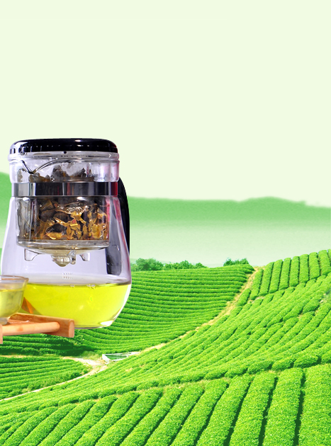 莫等闲官方旗舰店