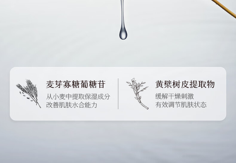 稀物集 松茸菌菇氨基酸洁面乳温和不刺激去油清洁毛孔油皮男女士 稀物集氨基酸洁面乳50g