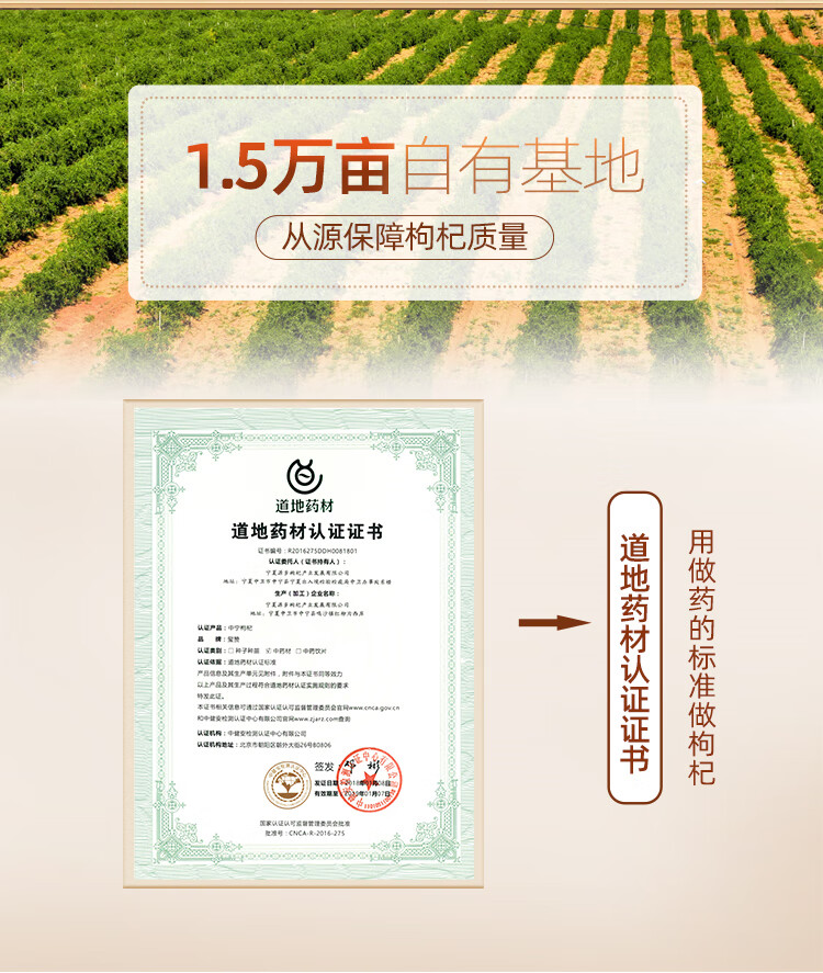 中宁枸杞 红枸杞子宁夏头茬新货大果食补干货 沙漠骆驼250g*2袋