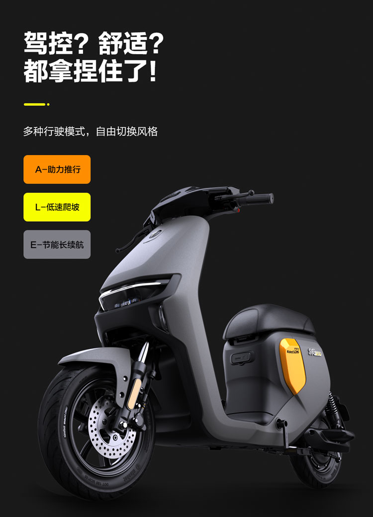 电动自行车_Ninebot 九号 电动自行车 远行者F90