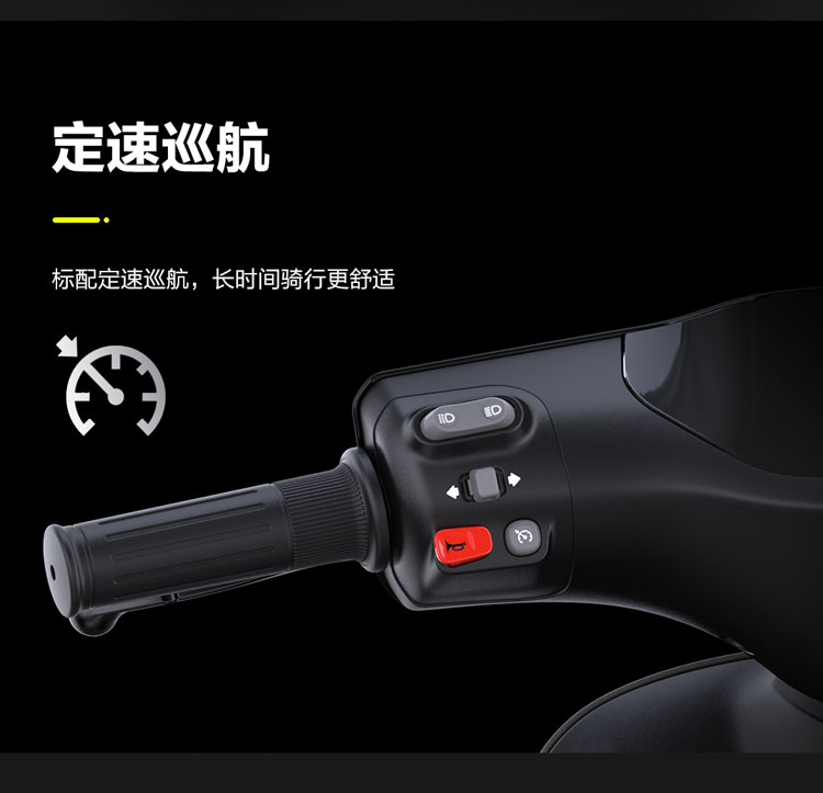 电动自行车_Ninebot 九号 电动自行车 远行者F90