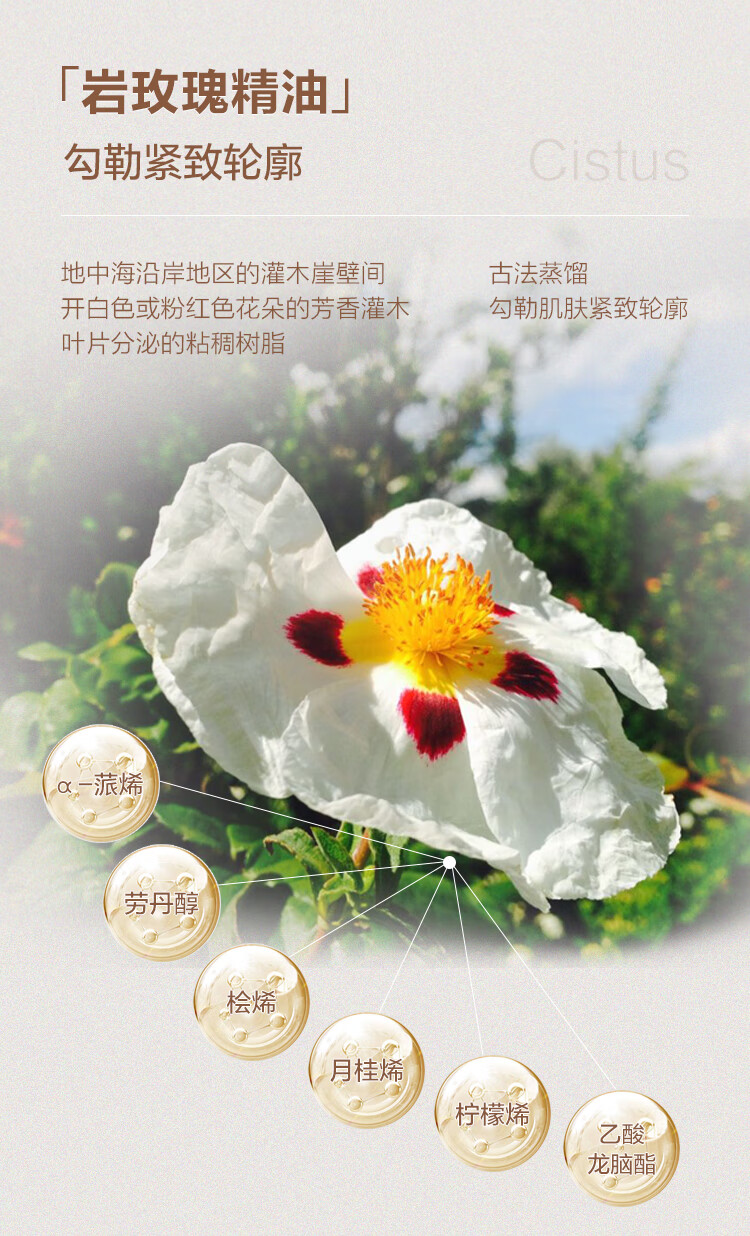 Oshadhi德国O家花香紧致面油30ml面部精华油护肤油擦脸油护肤品礼物
