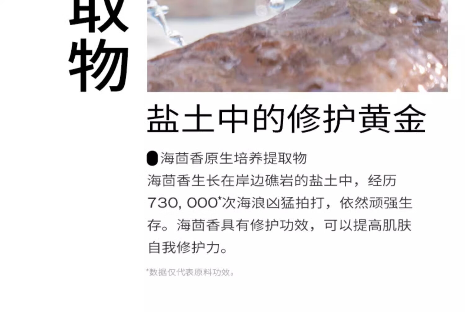 PMPM海茴香祛痘细肤棉片改善闭口粉刺黑头清洁棉片湿敷 1瓶（50片）