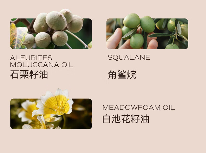 天露芬眼部精华油抗皱紧致淡化眼纹眼油紧致眼袋淡化黑眼圈德国进口送礼 眼油体验装2ml*2