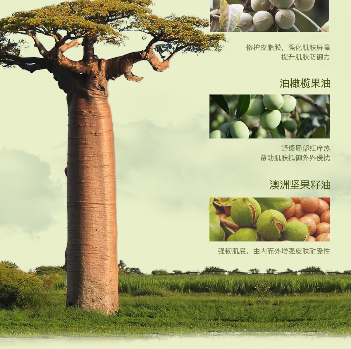 天露芬修护面部精华油舒缓保湿强韧屏障以油养肤改善敏感肌送礼女友母亲 干敏肌定制修护油5ml