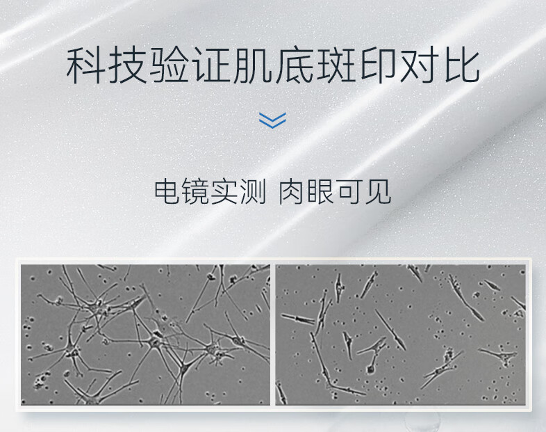 RSAS美白祛斑霜 雀斑老年斑晒斑黑斑黄褐斑 淡化斑点黑色素提亮肤色 芙如雪美白祛斑霜30g