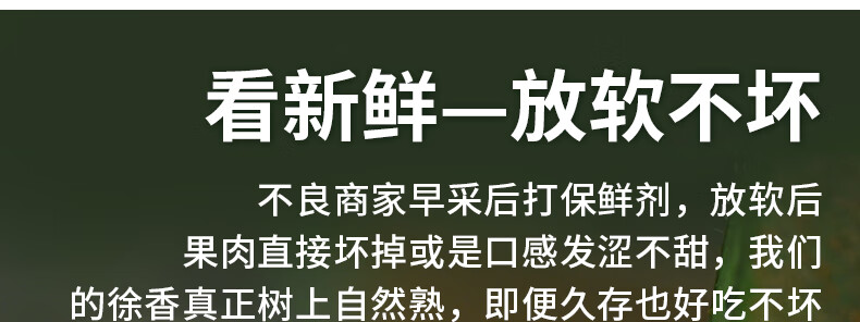 肴池晚采徐香猕猴桃特级奇异果弥猕桃水寒露猴桃心泥4.9-5.2斤70-90克果礼盒新鲜绿心泥猴桃寒露后采 30枚装（70-90克）【4.9-5.2斤】详情图片10