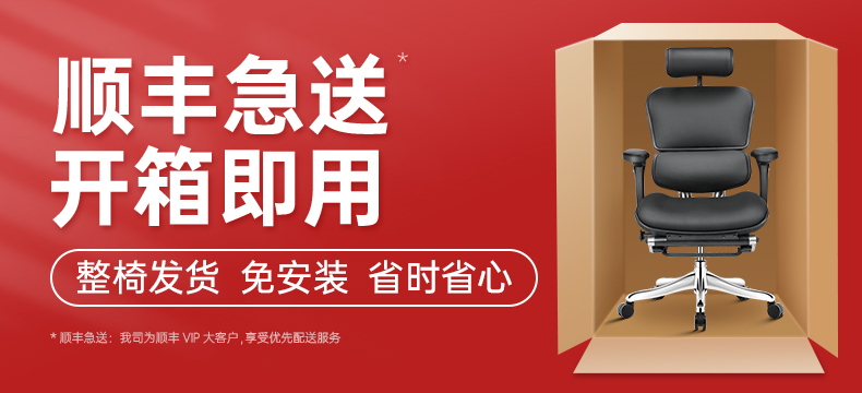 Ergonor Ergohuman保友金豪e精英版电脑椅皮椅人体工学椅家用办公椅护脊老板椅电竞椅 黑色+躺舒宝 精英版(皮椅)