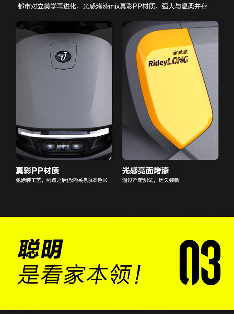 电动自行车_Ninebot 九号 电动自行车 远行者F90