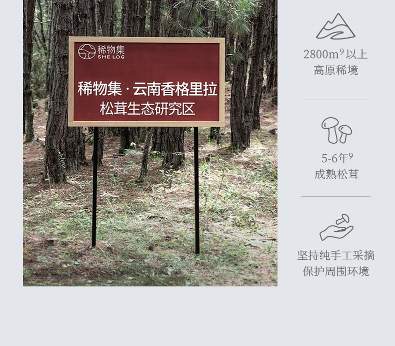 稀物集 松茸菌菇氨基酸洁面乳温和不刺激去油清洁毛孔油皮男女士 稀物集氨基酸洁面乳50g