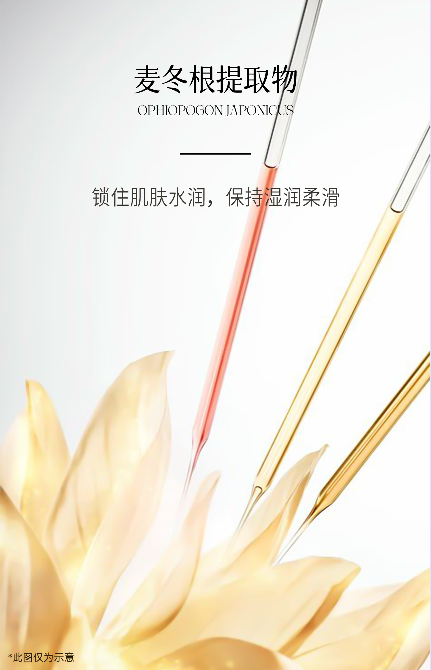 原生欧芙兰 超微水锁水凝霜50g面霜补水保湿护肤滋润干性皮肤