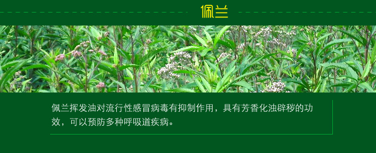 
                                        
                                                            绿驰 植物精华去除甲醛苯除油漆味喷雾剂 除味除臭去烟味分解异味净化剂 非空气清新剂 500ml                