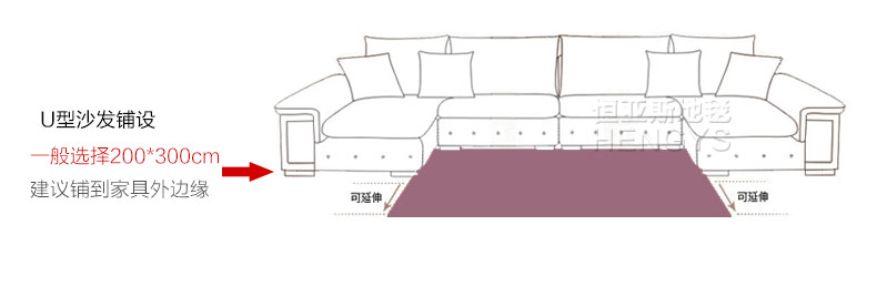 恒亚斯地毯 客厅地毯茶几卧室地毯韩国丝定制满铺床边布艺地毯 深咖啡(加亮丝) 200*300cm