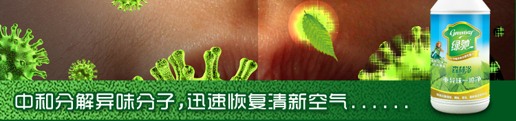 
                                        
                                                            绿驰 植物精华去除甲醛苯除油漆味喷雾剂 除味除臭去烟味分解异味净化剂 非空气清新剂 500ml                