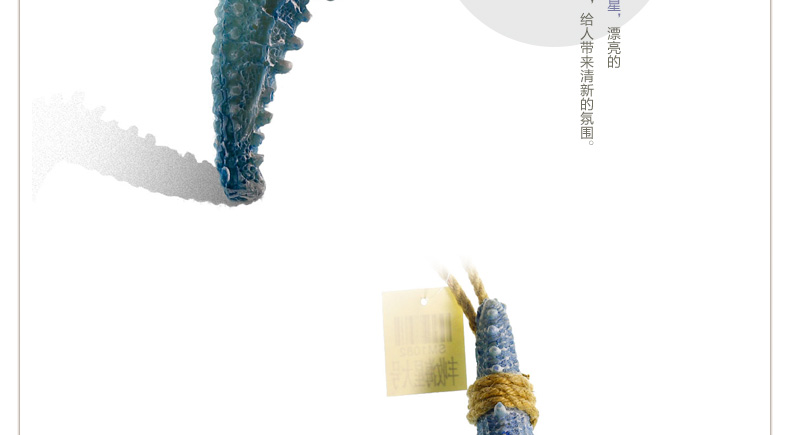 Snnei 阳光海岸丰收海星 创意家居墙饰壁饰 墙上装饰品壁挂