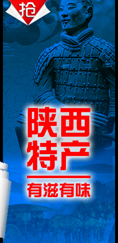 241_498 竖版 竖屏