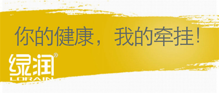 
                                        
                                        绿润 醛立康新房去除甲醛清除剂新房家具新车去味500ml                