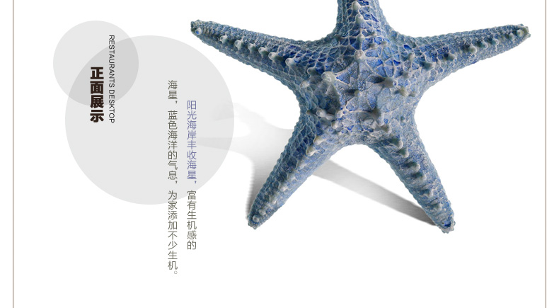 Snnei 阳光海岸丰收海星 创意家居墙饰壁饰 墙上装饰品壁挂