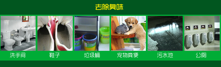 
                                        
                                                            绿驰 植物精华去除甲醛苯除油漆味喷雾剂 除味除臭去烟味分解异味净化剂 非空气清新剂 500ml                
