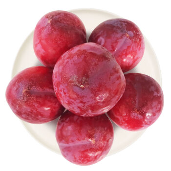 智利 进口红布林 李子4粒装 单果重160g起 新鲜水果