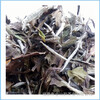 Chinese White Tea Fuding tea 2015 alpine white lotus tea wholesale white peony powder tea F247 truth behind the tea chinese edition