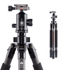 Штатив Si Rui (SIRUI) R2204 + G20KX углеродного волокна PTZ Nikon Canon SLR камера штатив SLR камера штатив профессиональный стабильный микро один общий coman ta140ctn0 углеродного волокна рефлектор портативный профессиональный зеркальный фотоаппарат фотоаппарат штатив ptz набор