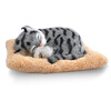 Plush toys simulation dog & cat Vehicle Decoration Baby Sleeping Appease Doll Kids Birthday Gifts kawaii kids toys stuffed animals dragon plush toy flying dragon dinosaur soft peluche doll boys child birthday gifts collection