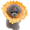 Cachorro Corbata Ajustable Mascota Perro Gato Collar De Girasol Collar De Gatito Cuello De Perro Círculo Anti-mordida Forma De Anillo De Curación De H