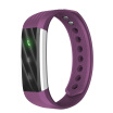 Star 1 Fitness Tracker Inteligente Banda De Reloj Pulsera Chip Veryfit Aplicación Datos De Prueba Conexión Bluetooth Precisa