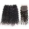 Brazilian Remy Human Hair Weave Water Wave Hair 4pcs Bundles with Closure Virgin Cheap Extensions