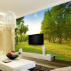 Custom photo wallpaper 3D scenery wallpaper mural living room sofa TV background wall forest wallpaper