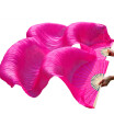 1 Pair Dance Fans Bamboo Ribs Natural Silk Stage Performance Props Dye Fans Women Belly Dance Silk Fans Rose