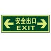 Teng Chi CT fire fluorescent safety export luminous light stickers evacuation signs direction signs luminous waterproof&wear-resistant warning stickers A01 straight safety exit