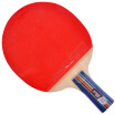Double Happiness DHS table tennis racket straight shot double-sided long anti-rubber all-round single-shot R2007 with film sets