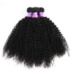 8A Malaysian Kinky Curly Virgin Hair 4 Bundles Malaysian Curly Hair Malaysian Kinky Curly Hair Curly Weave Human Hair Extension