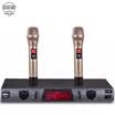 BBS U-998 Wireless Microphone One for Two Performance Microphone Conference Host Karaoke Anti-howling Microphone Gold