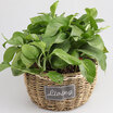 Steel frame straw storage basket basket porch decoration living room crafts ornament handmade rattan storage basket trumpet