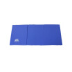 Cheap Blue Folding Panel Gymnastics Mat Exercise Yoga Mat