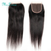 Ms Luna Hair Brazilian Lace Closure Straight Hair 4x4 Lace Closure 100 Brazilian Human Hair Lace Closure No Shedding