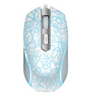 Thunderbolt Rapids V210 gaming mouse mouse mouse mouse mouse white flames version