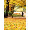 Golden Autumn Photo Backdrop 57FT Vinyl Fabric Cloth Digital Printing Photo Background s-631