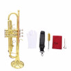 Trumpet Bb B Flat Brass Phosphor Copper Exquisite with Mouthpiece Cleaning Brush Glove Strap