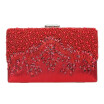 Fawziya Evening Clutch Purses For Women Pearl Wedding Purse