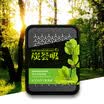 KOGADO car perfume decoration car perfume perfume aromatherapy new bathroom toilet deodorant car charcoal aromatherapy cream