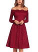 Vintage Lace Off the Shoulder Long Sleeve A Line Pleated Dress
