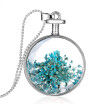 Aiyaya Mini Blue Real Dry Flower Silver Perfume Round Bottle Glass Lovers Necklace Chain for Women