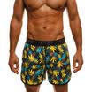New Men Breathable Camouflage Shorts Sport Running Short Swiming Pants Trunks CA