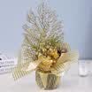 Many beautiful recall Christmas decorations Christmas decorations Christmas tree package Santa Claus dress up ornaments potted decorative small tree gold