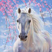 AU DIY 5D Diamond Painting Horse Pony Cross Stitch Home Decor Craft Wall Decor