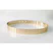 Women Adjustable Metal Waist Belt Metallic Bling Gold Plate slim Simple Belt